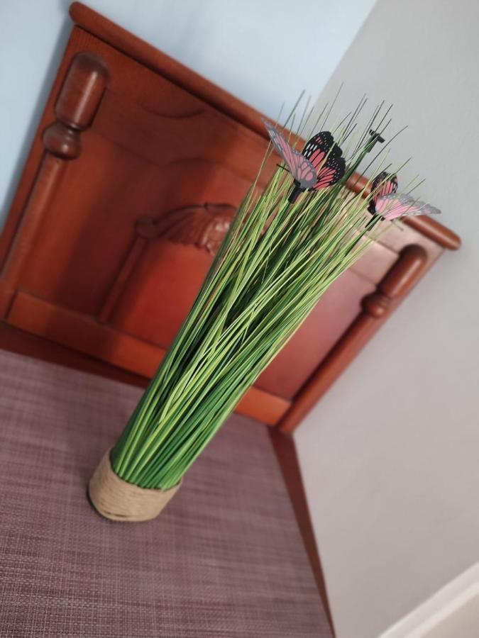 Casa Victor Apartment เอโฟริเอนอร์ด ภายนอก รูปภาพ